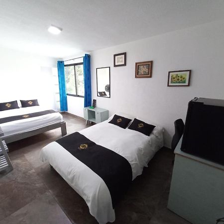 Rch Suite Μεξικό Εξωτερικό φωτογραφία